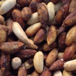 Neem Seed 100g   !!!SOLD OUT !!